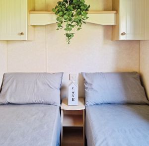 WILLERBY RIO GOLD- click for photo gallery